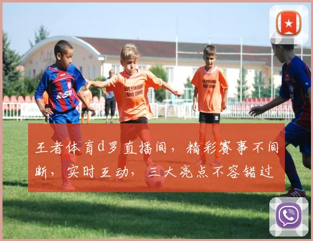 王者体育d罗直播间，精彩赛事不间断，实时互动，三大亮点不容错过，尽享观赛乐趣