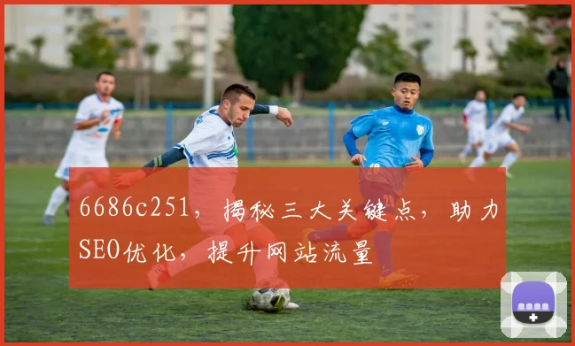6686c251，揭秘三大关键点，助力SEO优化，提升网站流量