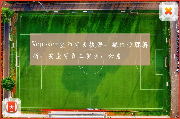 Wepoker金币可否提现，操作步骤解析，安全可靠三要点，必看