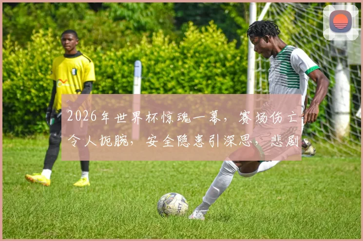 2026年世界杯惊魂一幕，赛场伤亡令人扼腕，安全隐患引深思，悲剧何时休