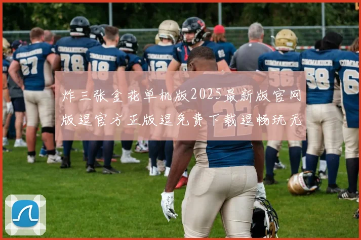 炸三张金花单机版2025最新版官网版逗官方正版逗免费下载逗畅玩无限制